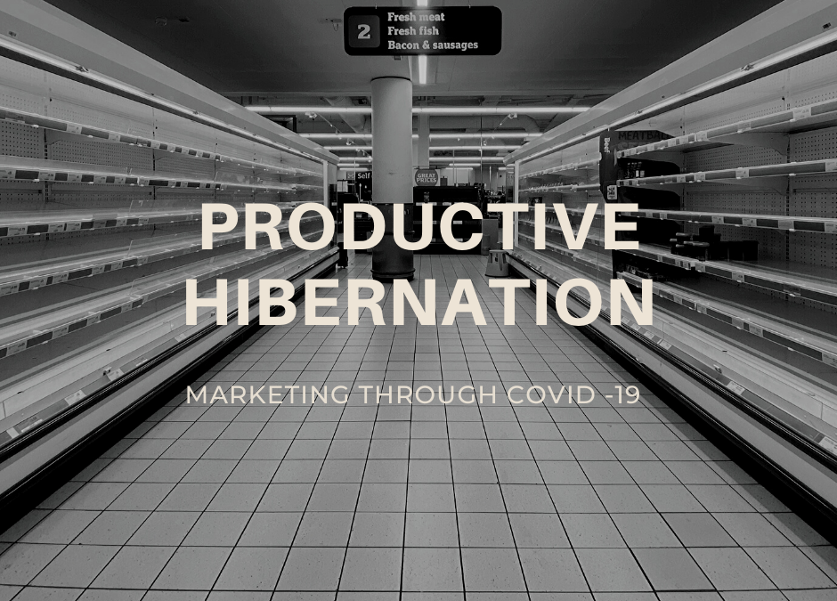 Productive Hibernation – Marketing through COVID-19