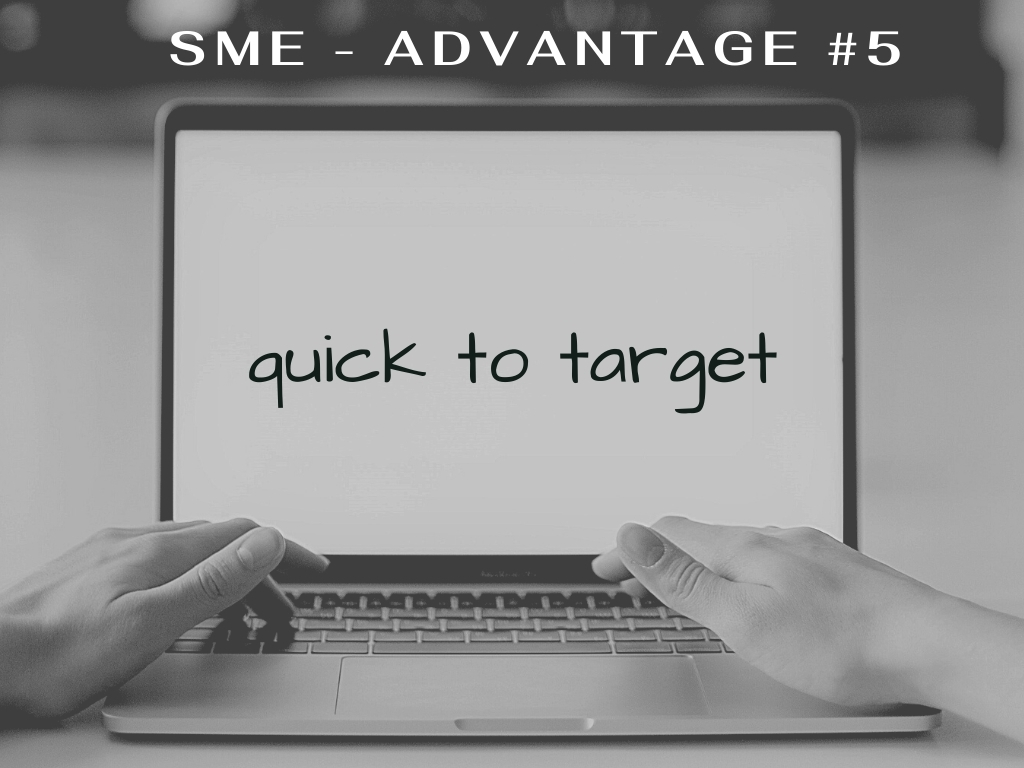 sme advantage - quick to target niche markets